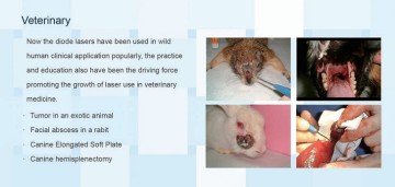 Vet Lasers (DEN10B)