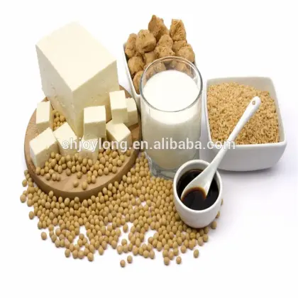 Complete soy bean milk processes line