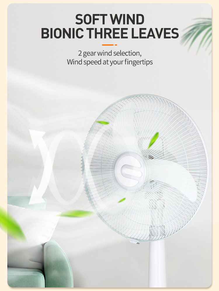 Floor Oscillating Fans 