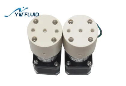 Miniature ceramic plunger pump