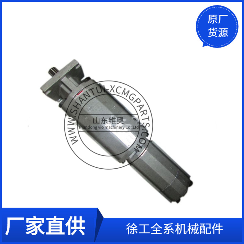 Xcmg Truck Crane Moil Pump 803000411