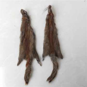 Top quality Tanned Natural Hamster Pelt Hamster Skins