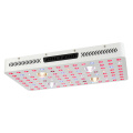 Super COB LED wachsen Licht 450W