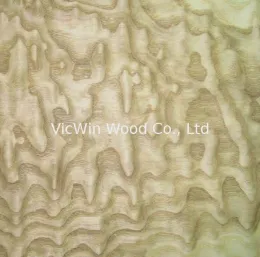 Sliced Cut Natural Chinese Ash Burl Wood Veneer Sheet