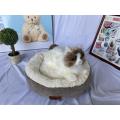 Chenille donut bed cozy & warm