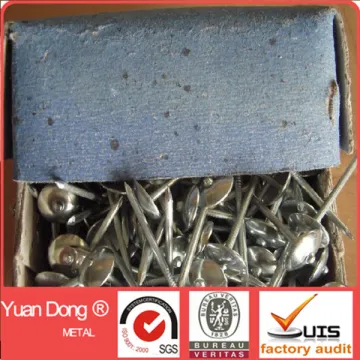 1.5inch 2inch Umbrella head roofing nail for sale !