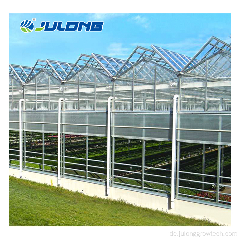 Venlo Hydroponic Multi -Span -Glas Gewächshaus