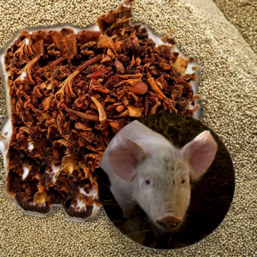 Livestock Nutrition with Feed Additives Apple Poamce