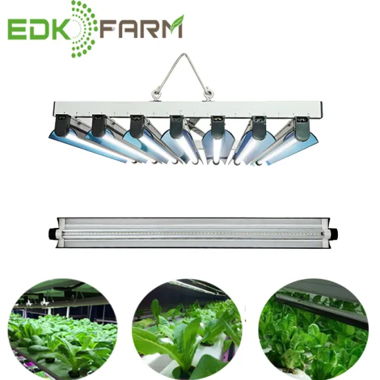 EDJ Plant ETL LED Grow Light for Full Spectrum T5 Vertical Farming with Ebb Flow Hydroponics Dropship