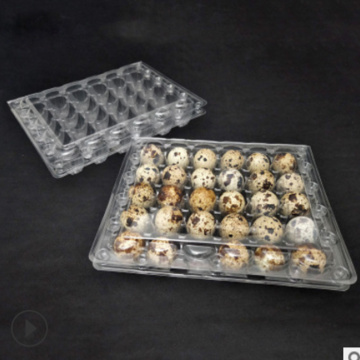 24holes clear tray plastic quail egg carton