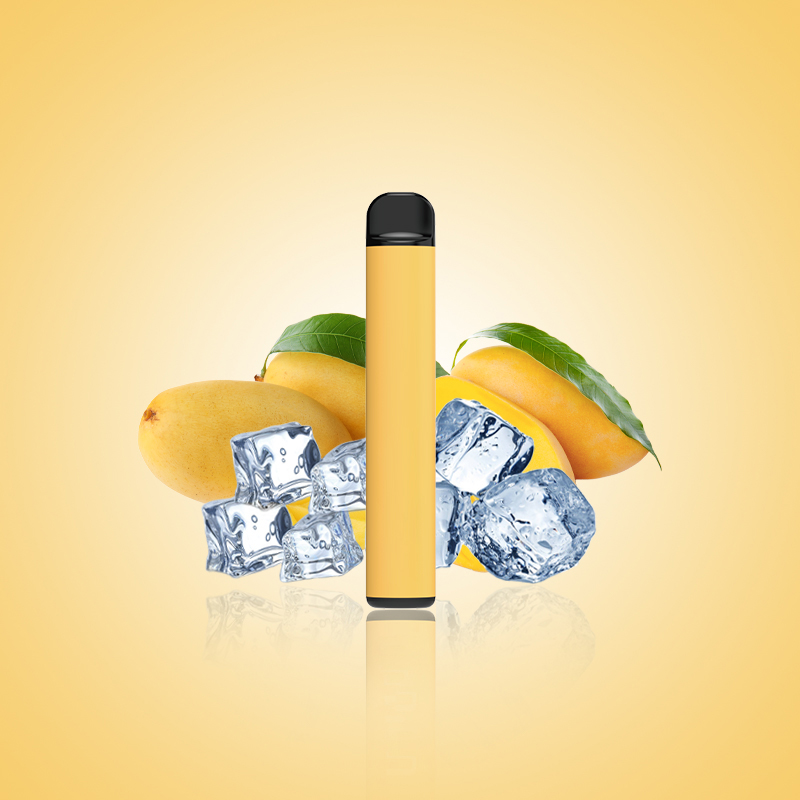 Saveurs de fruits les plus populaires vape 600puffs