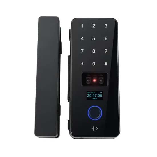 Smart 3D Face and Fingerprint Glass Door Lock with WiFi App, Remote Unlock, and Graffiti Design for Office Security