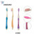 Family Pretty Toothbrush Picture Adult Toothbrush