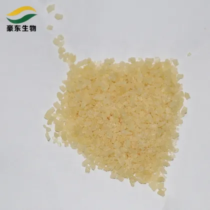 food collagen gelatin protein powder
