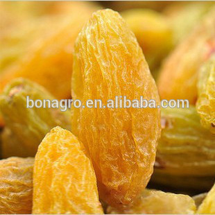 dried raisin ,2014 new crop
