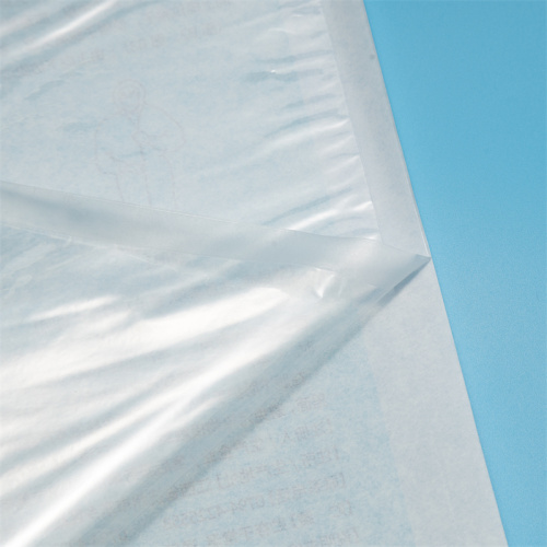 Film Pharma Autoclave Sterilization Packaging Solutions