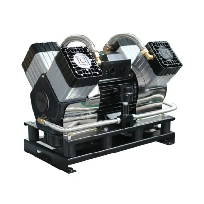 OEM Factory Silent Quincy Portable High-Pressure Reciprocating Piston Medical Oilless Air Compressor