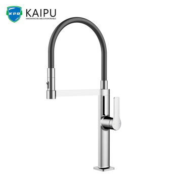 Contemporary kitchen faucets with sprayer