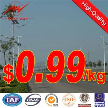 25 Meter Industry Zone Street Lighting Pole