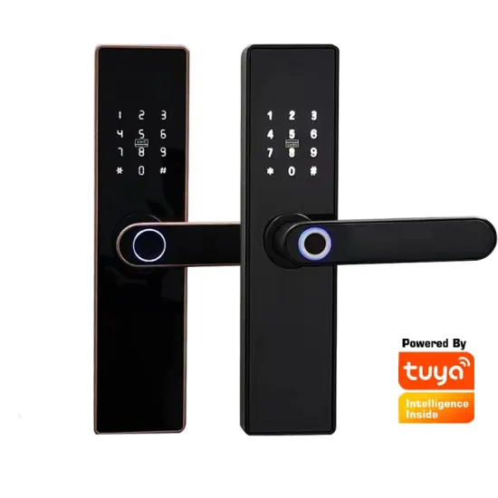 Smart Security: Wi-Fi, Fingerprint, and Digital Tuya TTlock Door Lock System