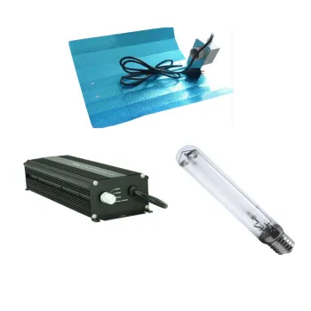 Dimmable HPS Ballast 600W for Professional Grow Lights