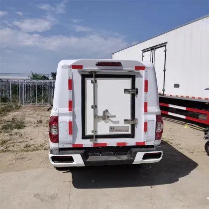 Chase Pickup Truck Specialized in Cold Chain Transport