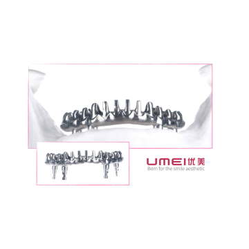 Voller Bogen Titanium Malo Bridge
