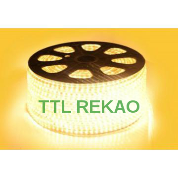 3014 LED 220V IP65  led strip light with approval of CE and RoHS