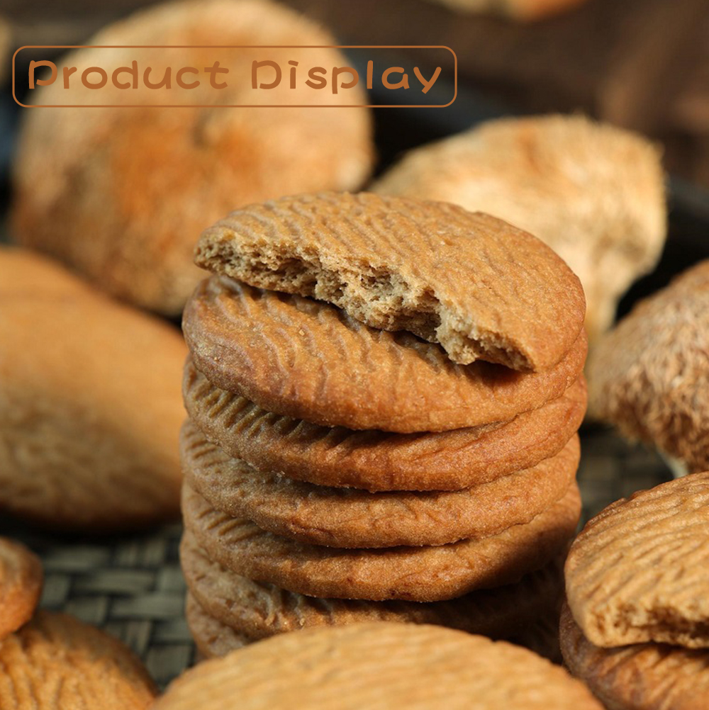 Lion's-Mane-Mushroom4_01