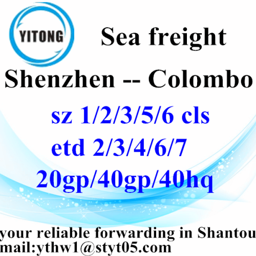 Shenzhen professional shipping agent to Colombo