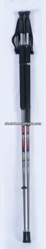 ice pole