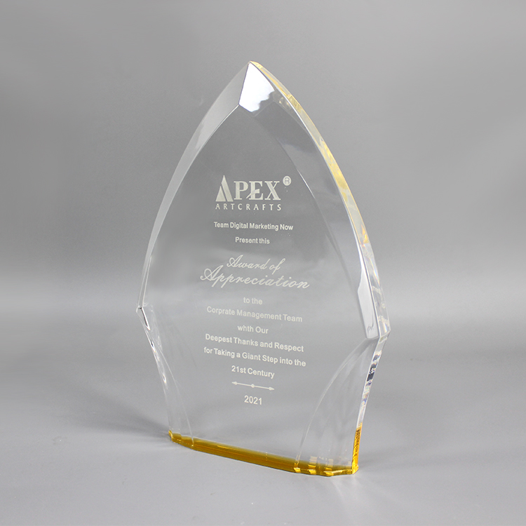 custom acrylic award