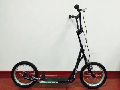 SL20803 Sports Scooter Search