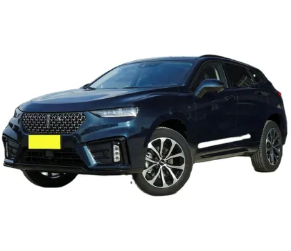 2020 WEY VV7 2.0T Super Deluxe Petrol SUV in Good Condition
