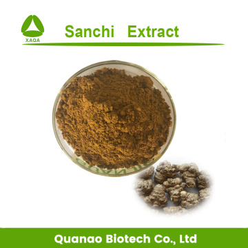 Sanchi Extract Tienchi Ginseng Powder Panax Notoginseng