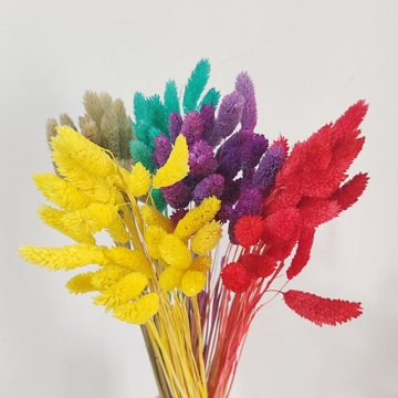 Wholesale Natural True Flowers & Preserved Plants for Home and Event Decoration