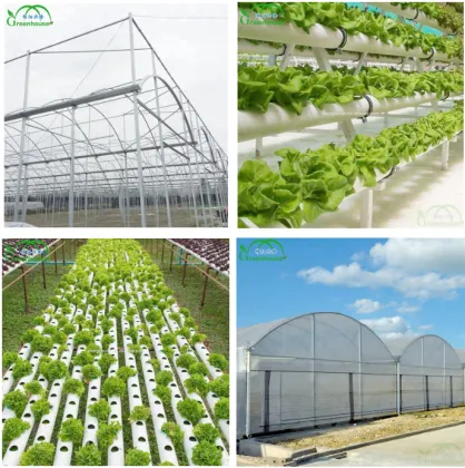 MYXL Hydroponics Indoor NFT Tower Growing System
