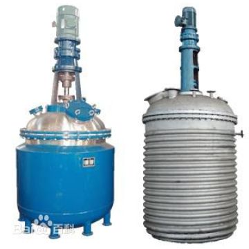 stainless steel reactor