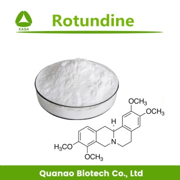 Stephania Epigaea Extract Rotundine 98% Tetrahydropalmatine