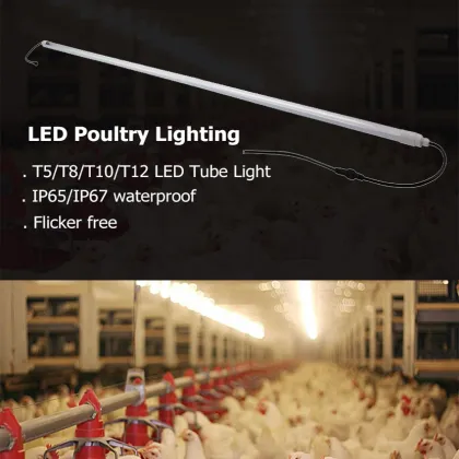 2700K Dimmable LED Poultry Light System for Chicken Poultry Houses