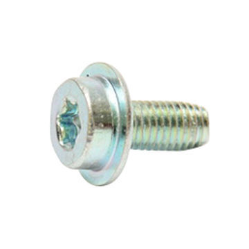 Socket cap torx screw with washer