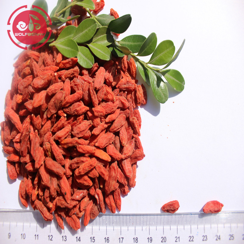 Baje el equilibrio de colesterol azúcar en la sangre las bayas de goji