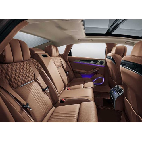 Pure electric new energy vehicle hongqi e-hs9 brown