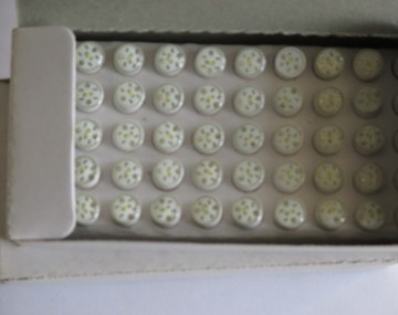 High Brightness 10mm White LEDs BA9S 220V 110V 24V 12V Search Engine