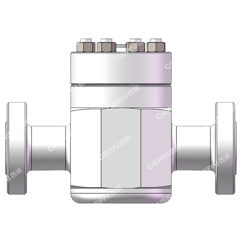 Lift Check Valve