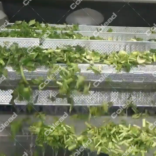 Máquina de escaldado de agua caliente