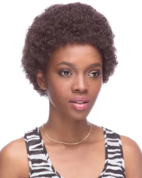 Afro Kinky Curly Short Wigs 100% Unprocessed Raw Virgin Brazilian Human Hair Spirc for Black Women Natural Afro Curl bulk Wig