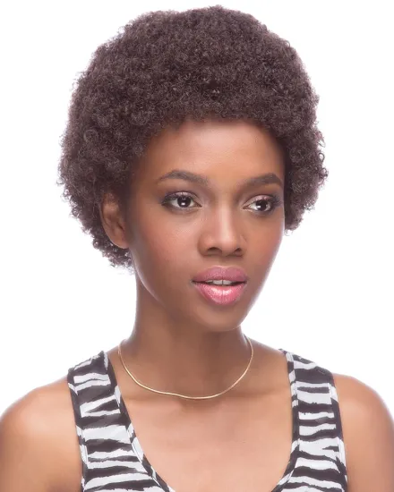 Afro Kinky Curly Short Wigs 100% Unprocessed Raw Virgin Brazilian Human Hair Spirc for Black Women Natural Afro Curl bulk Wig