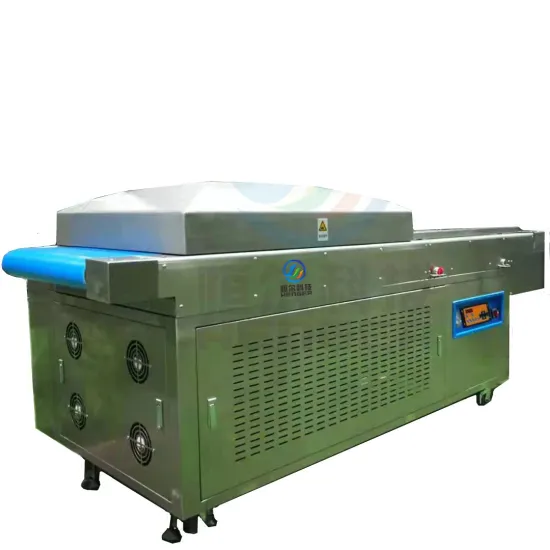 Semi-Automatic Fish Filet Vacuum Pack Machine for Industry