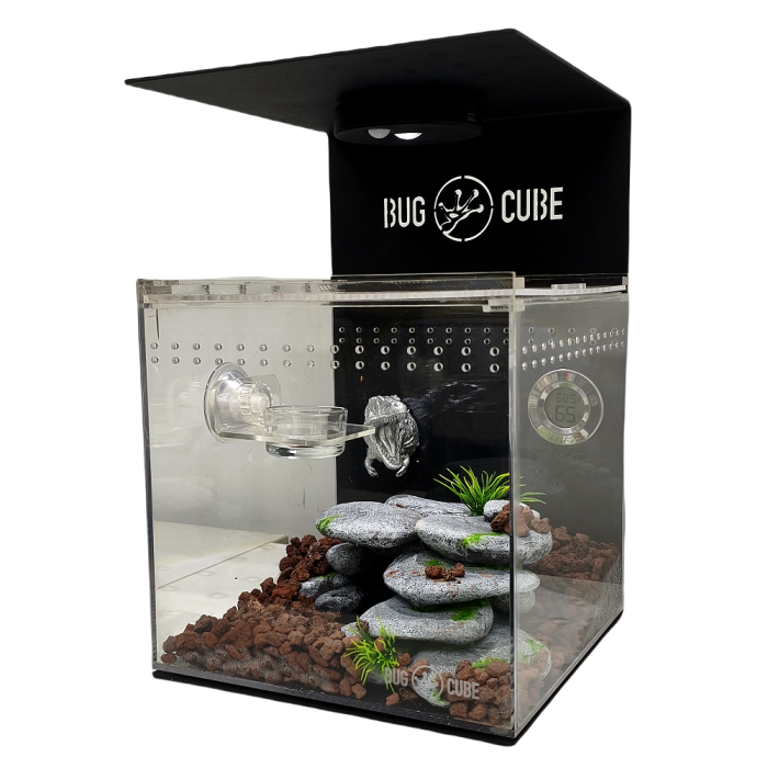 Caixa de criação de acrílico de tamanho personalizável para répteis